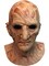 A Nightmare On Elm Street 2 Freddy Krueger Mask Costume Accessory